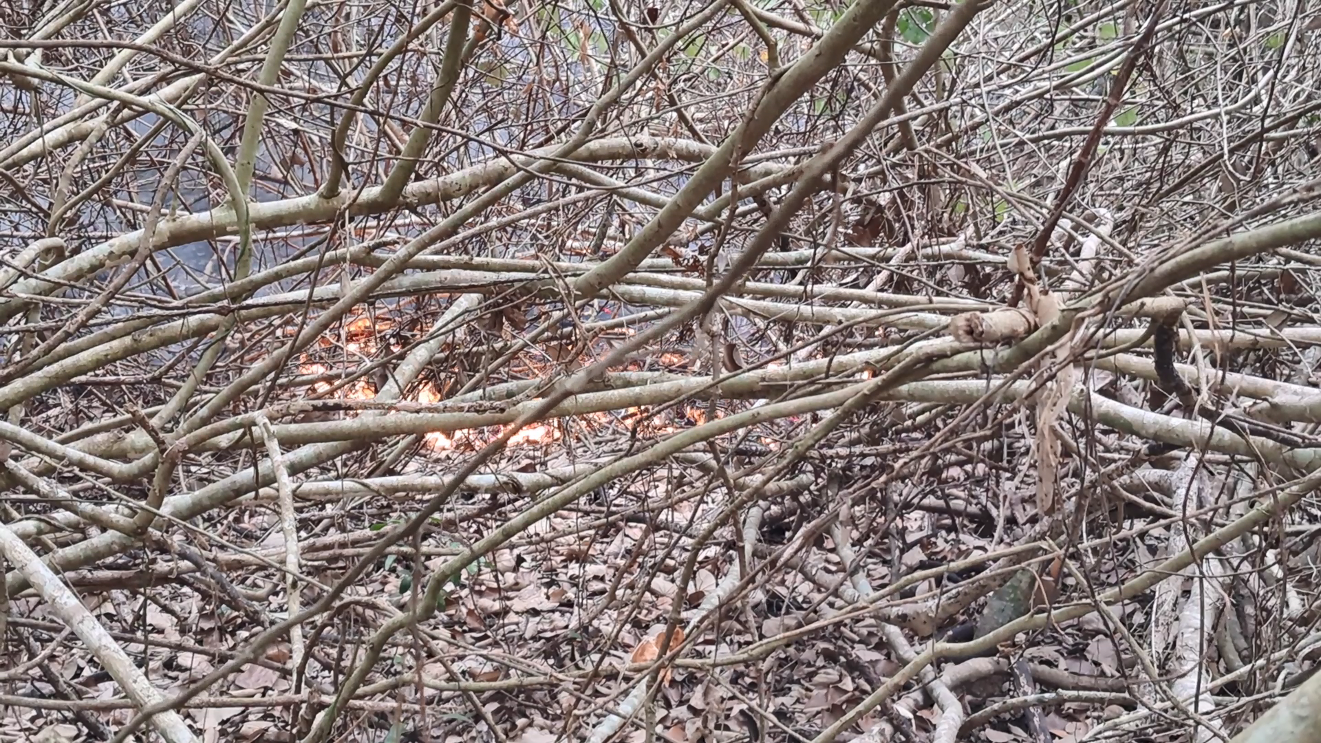 thumbnail_20240504_170835[00_00_03][20250322-224749]